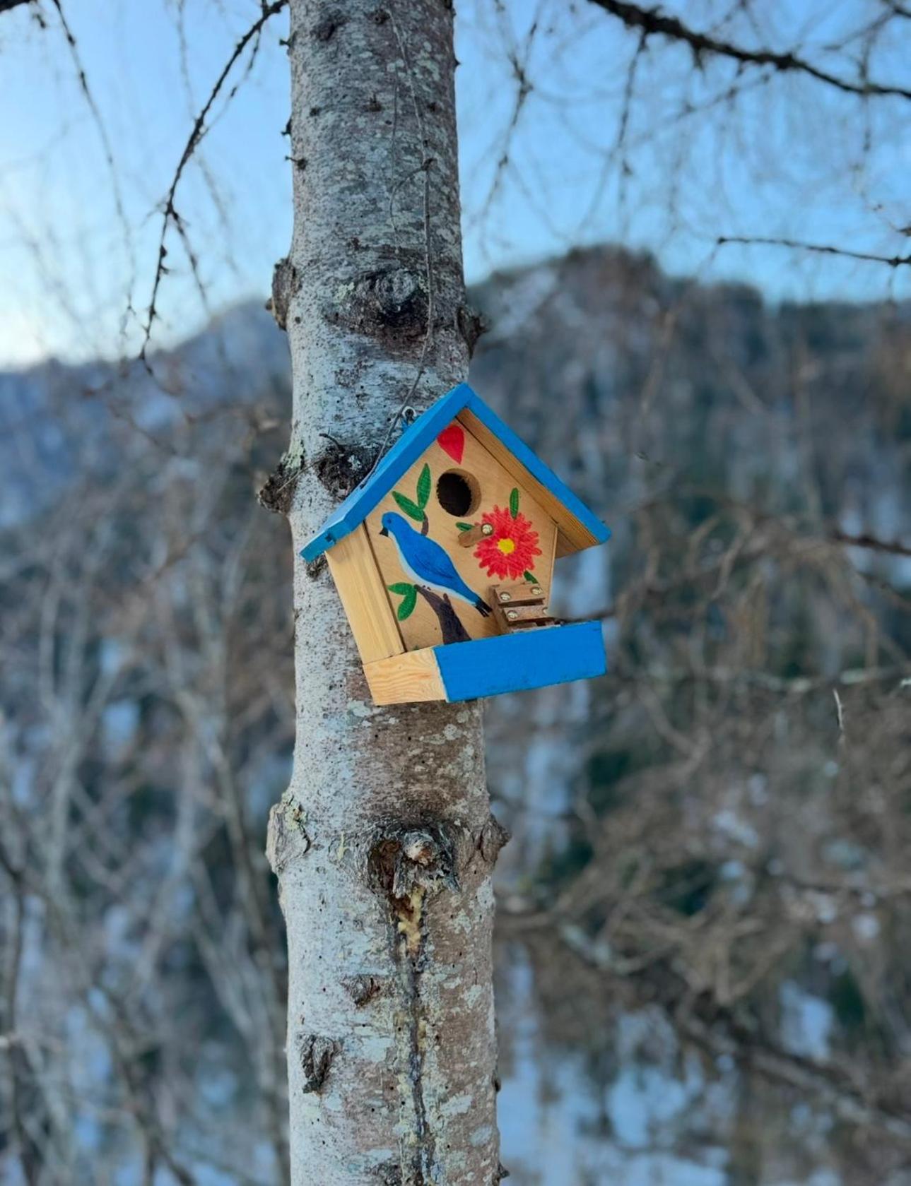 Sairme Glampings Hotel Bagian luar foto